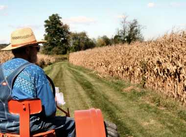 Termen nou: Fermierii mai pot cere platile directe 2016 inca 10 zile, fara penalitati