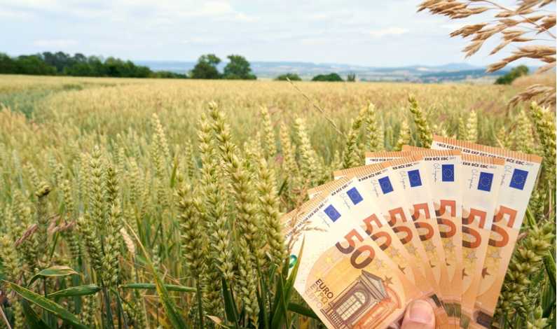bani-euro-agricultura-dreamstime