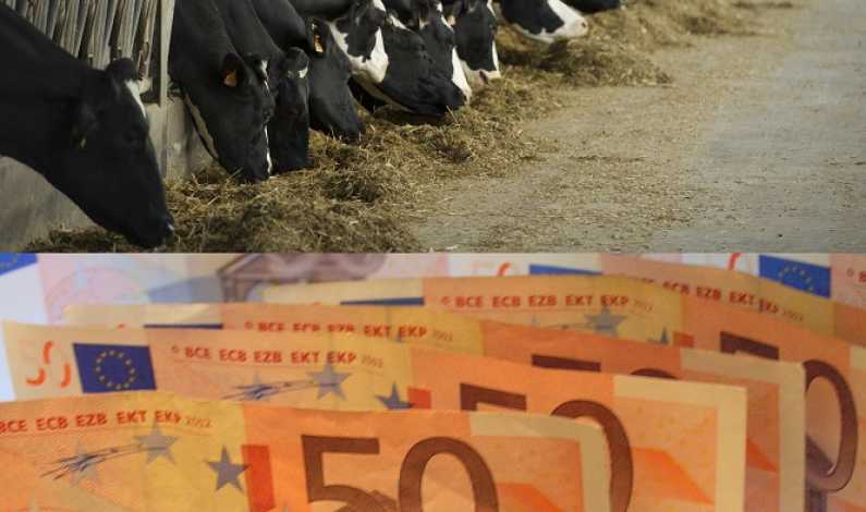 TUTORIAL Cum iei banii europeni pentru o ferma. Cele 8 principii pentru un proiect castigator