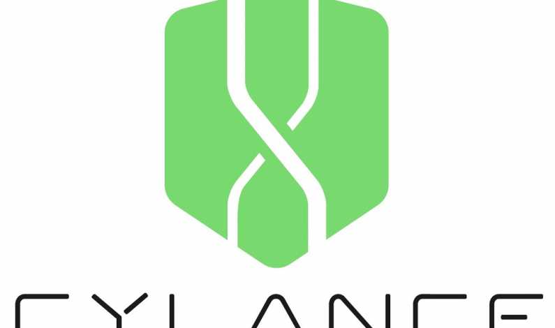 Startup-ul de securitate informatica Cylance a primit 100 milioane dolari finantare