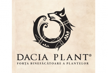 dacia plant