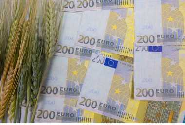 bani-euro-agricultura-dreamstime