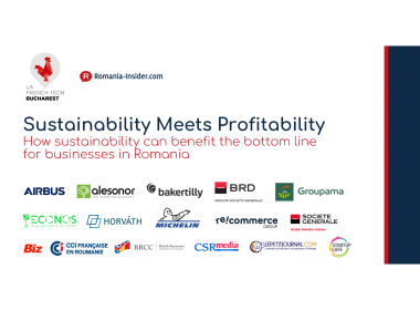 Sustainability Meets Profitability