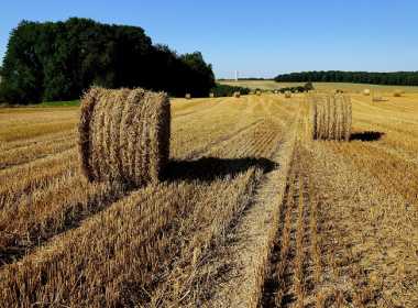 270.000 de hectare, scoase de la subventiile agricole in 2015. Care este explicatia