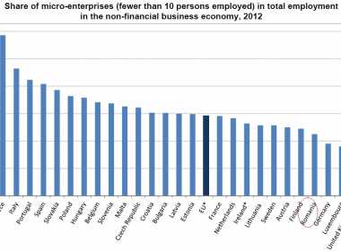 TOP Eurostat: ​Romania, printre tarile UE cu cea mai redusa rata de angajari in microintreprinderi