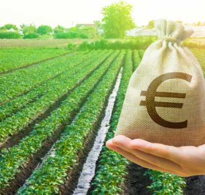 euro-agricultura--dreamstime