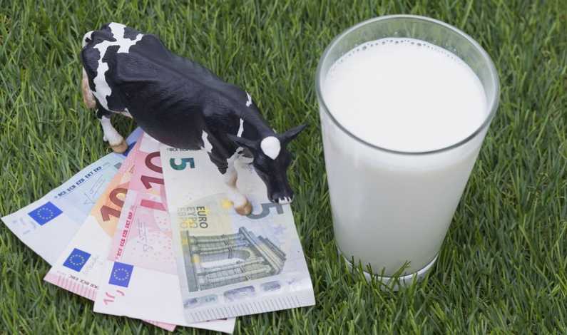 euro-lapte-vaca-dreamstime