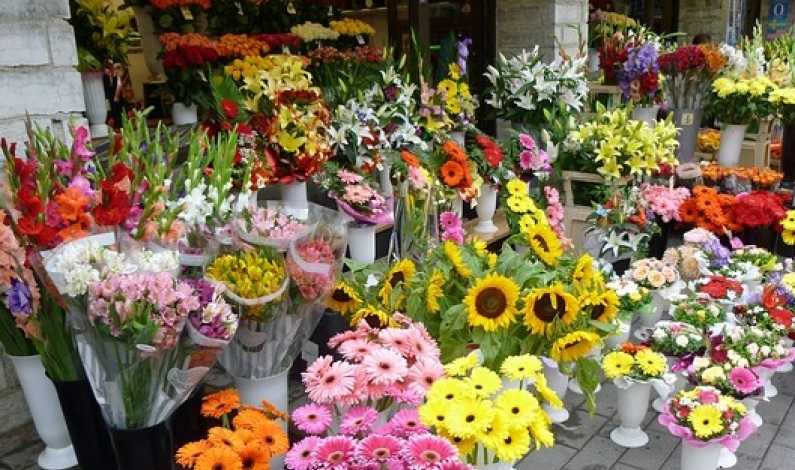 Repetitie pentru 1 si 8 Martie: Un comerciant de flori spune ca vanzarile de Ziua Indragostitilor 2017 i-au crescut cu 15% fata de anul trecut