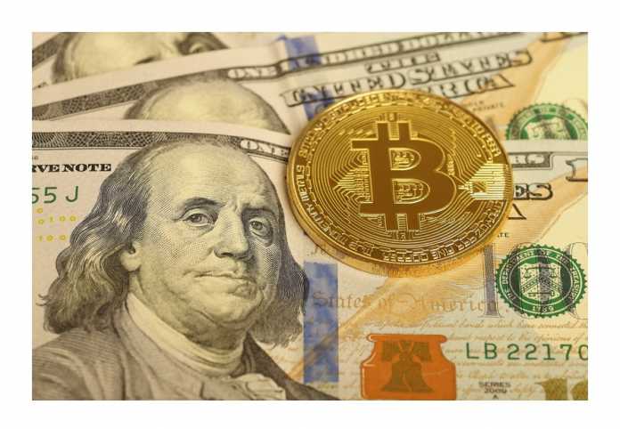 Cât va valora o investiție de 100 USD în bitcoin în 2022
